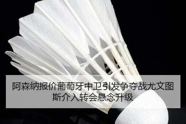 阿森纳报价葡萄牙中卫引发争夺战尤文图斯介入转会悬念升级