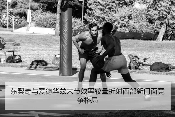 东契奇与爱德华兹末节效率较量折射西部新门面竞争格局